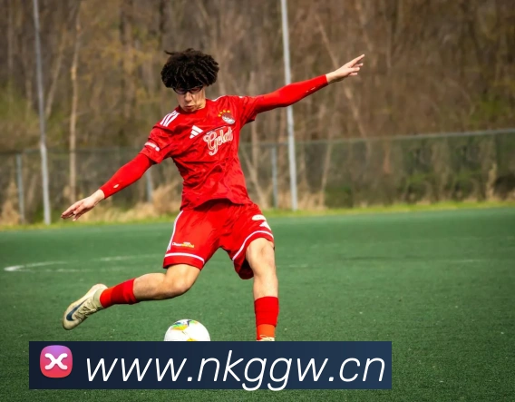 巅峰国标pg官网入口平台生态图