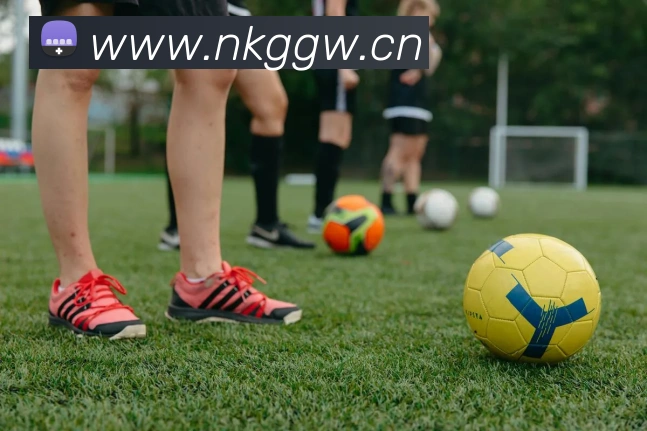 巅峰国标pg官网入口APP 封面图